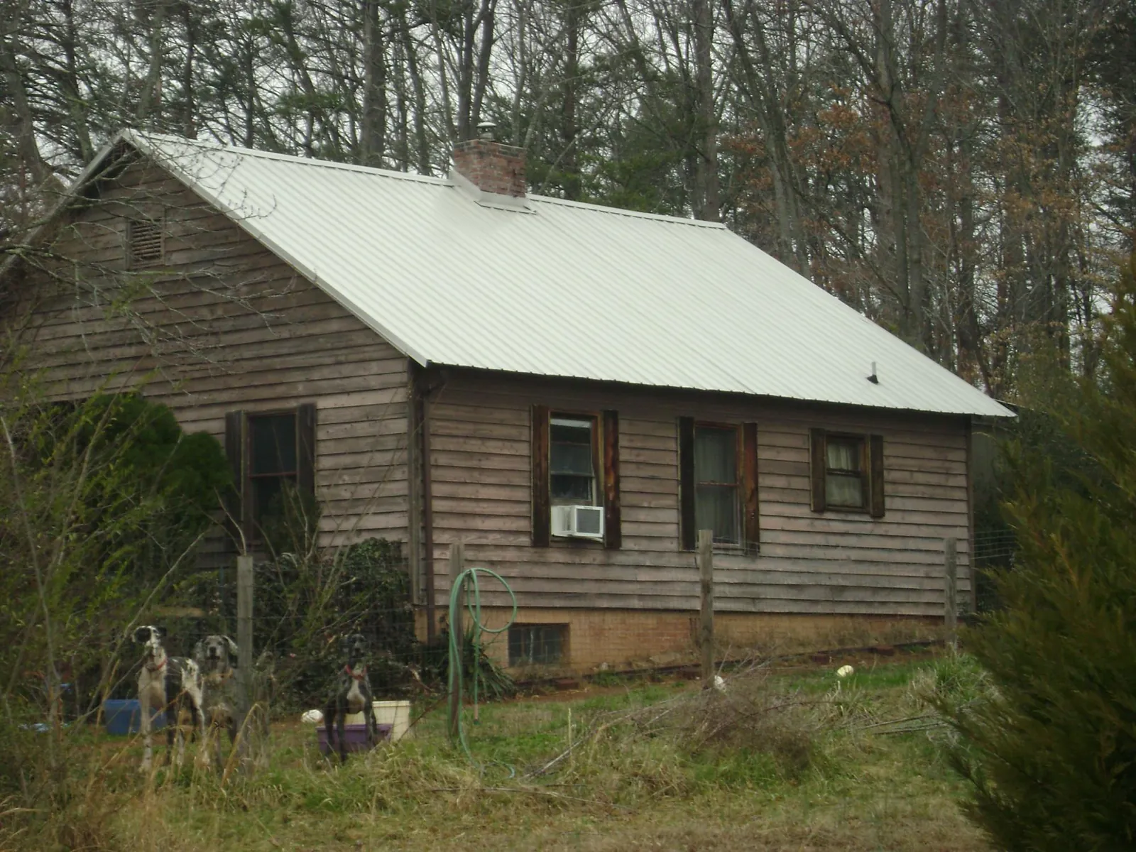 White metal roof on an old wood sided farmhouse, from a Asphalt Shingle Roof Repair job in Morton